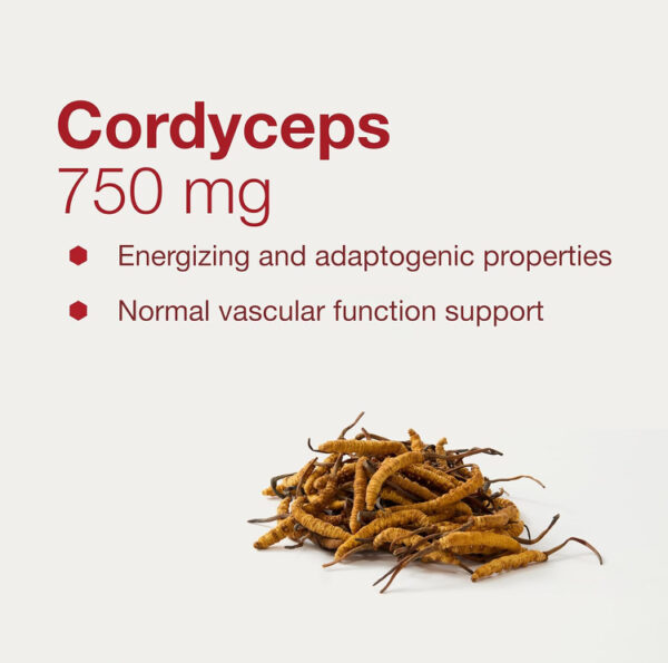 Cordyceps 750mg 90 Veg Caps - Image 3