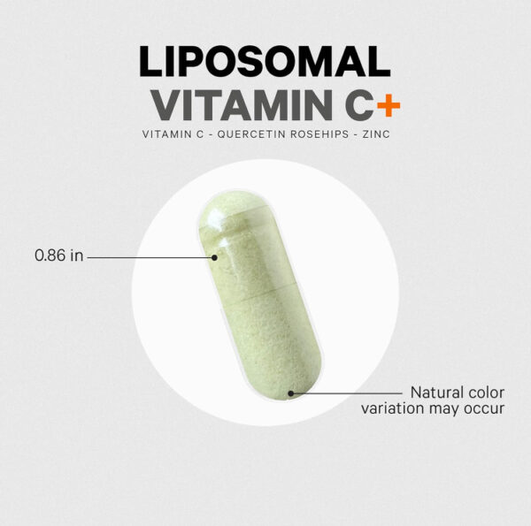 Codeage Liposomal Vitamin C 1500mg with Zinc, Elderberry, Citrus Bioflavonoids Grapefruit, Lemon, Orange Powder, Quercetin & Rose HIPS Fruit – Vegan Supplement - Non-GMO, Vegan Pills, 180 Capsules - Image 6